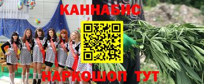 МДПВ Партизанск