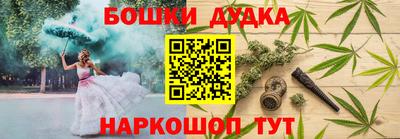 МДПВ Партизанск